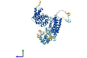 Protein Structure (PS) image for THO Complex 1 (THOC1) (AA 1-657) protein (His tag) (ABIN7564702)
