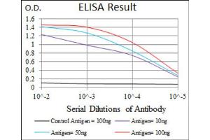 Red: Control Antigen (100ng) ; Purple: Antigen (10ng) ; Green: Antigen (50ng) ; Blue: Antigen (100ng). (ALPL 抗体)