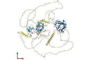 Protein Structure (PS) image for Nuclear Receptor Coactivator 7 (NCOA7) (AA 1-943) protein (His tag) (ABIN7564041)