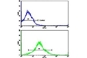 Flow cytometric analysis of K-562 cells using MMP19 polyclonal antibody (bottom histogram) compared to a negative control cell (top histogram). (MMP19 抗体  (C-Term))