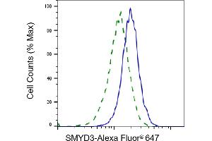 Validation of SMYD3 knockdown using flow cytometry. (Recombinant SMYD3 抗体)
