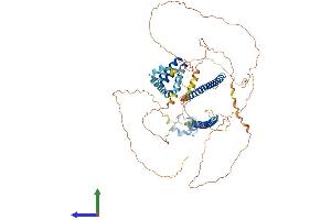 Protein Structure (PS) image for Core-binding Factor, Runt Domain, alpha Subunit 2, Translocated To, 3 (CBFA2T3) (AA 1-653) protein (His tag) (ABIN7554621)
