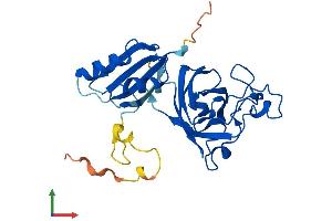 Protein Structure (PS) image for Copper Chaperone For Superoxide Dismutase (CCS) (AA 1-274) protein (His tag) (ABIN7552987)