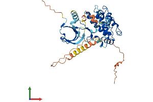 Protein Structure (PS) image for Calcium/calmodulin-Dependent Protein Kinase ID (CAMK1D) (AA 1-385) protein (His tag) (ABIN7554244)