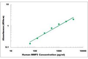 Representative Standard Curve (MMP3 ELISA 试剂盒)