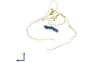 AlphaFold protein structure predicition of Human Recombinant FOSL1 Protein, UniprotID P15407