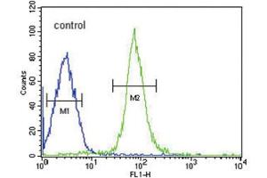 Flow Cytometry (FACS) image for anti-Haptoglobin (HP) antibody (ABIN3003969) (Haptoglobin 抗体)