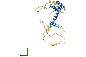 AlphaFold protein structure predicition of Human Recombinant PRRX1 Protein, UniprotID P54821