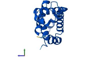 Protein Structure (PS) image for Hemoglobin theta 1 (HBQ1) (AA 1-142) protein (His tag) (ABIN7548247)