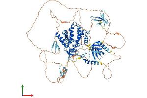 Protein Structure (PS) image for rho GTPase Activating Protein 27 (ARHGAP27) (AA 1-869) protein (His tag) (ABIN7561886)
