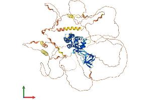 Protein Structure (PS) image for RUN and SH3 Domain Containing 1 (RUSC1) (AA 1-893) protein (His tag) (ABIN7564328)