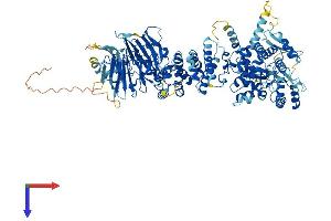 HERC5 Protein (AA 1-1024) (His tag)
