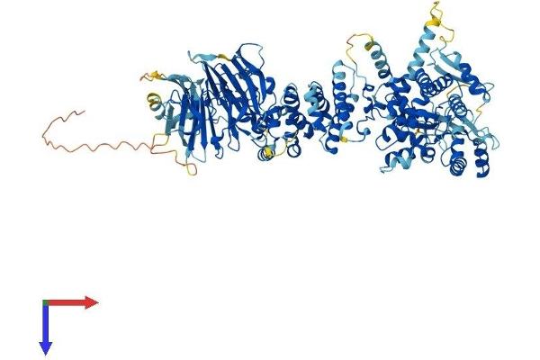 HERC5 Protein (AA 1-1024) (His tag)