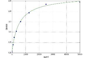 Dihydrofolate Reductase (DHFR) ELISA Kit