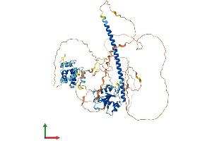 AlphaFold protein structure predicition of Mouse Recombinant Ticam1 Protein, UniprotID Q80UF7