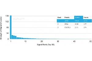 Analysis of Protein Array containing more than 19,000 full-length human proteins using Serum Amyloid P Mouse Monoclonal Antibody (APCS/3240). (APCS 抗体  (AA 143-223))