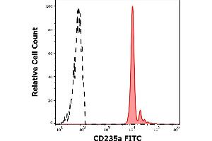 Separation of human red blood cells (red-filled) from lymphocytes (black-dashed) in flow cytometry analysis (surface staining) of human peripheral whole blood stained using anti-human CD235a (JC159) FITC antibody (4 μL reagent / 100 μL of peripheral whole blood). (CD235a/GYPA 抗体  (FITC))
