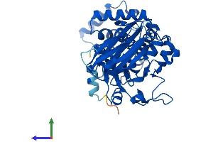 Protein Structure (PS) image for SEC14-Like 2 (SEC14L2) (AA 1-403) protein (His tag) (ABIN7551640)