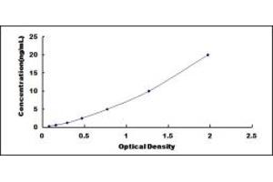 Typical standard curve (DBP ELISA 试剂盒)