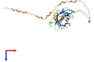 PLSCR4 Protein (AA 1-329) (His tag)