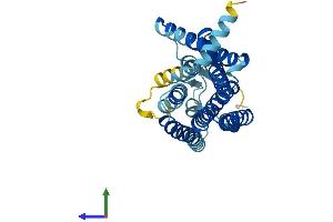 Protein Structure (PS) image for Olfactory Receptor, Family 2, Subfamily M, Member 4 (OR2M4) (AA 1-311) protein (His tag) (ABIN7550367)