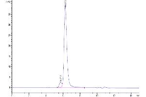 The purity of Biotinylated Human IL-15RA is greater than 95 % as determined by SEC-HPLC.