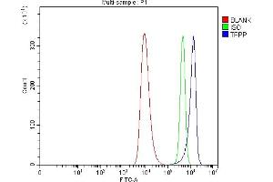 Flow Cytometry analysis of HEL cells using anti-TPPP antibody (ABIN7599102).