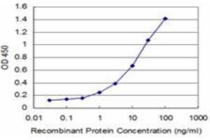 Detection limit for recombinant GST tagged HOXA5 is approximately 0. (HOXA5 抗体  (AA 171-270))