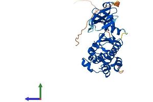 AlphaFold protein structure predicition of Mouse Recombinant Pim3 Protein, UniprotID P58750