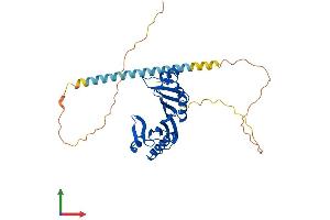 Protein Structure (PS) image for TATA Box Binding Protein (TBP) (AA 1-339) protein (His tag) (ABIN7544170)