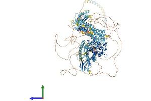Protein Structure (PS) image for Kinesin Family Member 14 (KIF14) (AA 1-1648) protein (His tag) (ABIN7554364)