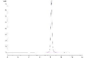 The purity of Cynomolgus GUCY2C is greater than 95 % as determined by SEC-HPLC.