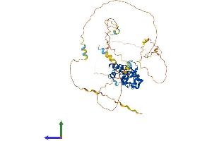 Protein Structure (PS) image for Cell Division Cycle 25 Homolog A (S. Pombe) (CDC25A) (AA 1-524) protein (His tag) (ABIN7549444)