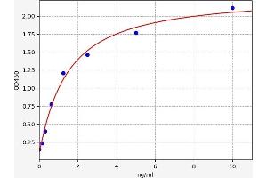 Typical standard curve (NFKBIB ELISA 试剂盒)
