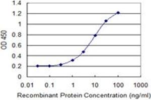 Detection limit for recombinant GST tagged NENF is 0. (Neudesin 抗体  (AA 1-172))