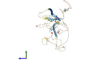 Protein Structure (PS) image for Inner Centromere Protein Antigens 135/155kDa (INCENP) (AA 1-880) protein (His tag) (ABIN7565215)