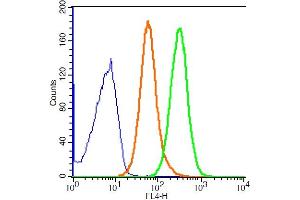 Flow Cytometry (FACS) image for anti-Signal Transducer and Activator of Transcription 3 (Acute-Phase Response Factor) (STAT3) (pTyr705) antibody (AbBy Fluor® 647) (ABIN880076)