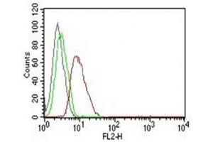 Flow Cytometry testing of MCF-7 cells. (Cyclin D1 抗体)