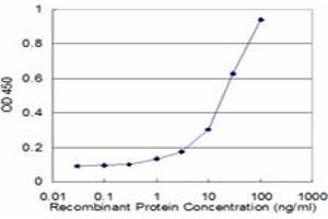 Detection limit for recombinant GST tagged RBP3 is approximately 1ng/ml as a capture antibody. (RBP3 抗体  (AA 1149-1246))