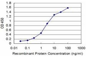 Detection limit for recombinant GST tagged BOLL is approximately 0. (BOLL 抗体  (AA 185-283))