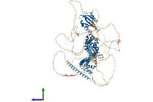 Protein Structure (PS) image for Potassium Voltage-Gated Channel, Subfamily H (Eag-Related), Member 2 (KCNH2) (AA 1-1159) protein (His tag) (ABIN7554266)