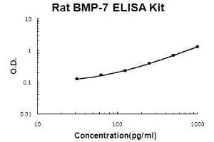 Rat BMP-7 PicoKine ELISA Kit standard curve