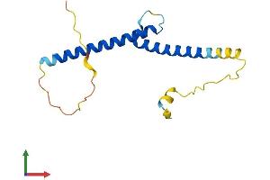 Protein Structure (PS) image for Atonal Homolog 7 (ATOH7) (AA 1-149) protein (His tag) (ABIN7556425)