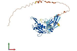 Protein Structure (PS) image for Matrix Metallopeptidase 23B (MMP23B) (AA 1-390) protein (His tag) (ABIN7549420)
