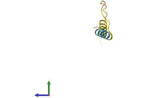Protein Structure (PS) image for ARHGAP5 Antisense RNA 1 (Head To Head) (ARHGAP5-AS1) (AA 1-56) protein (Fc Tag) (ABIN7552200)
