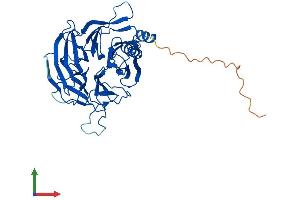 AlphaFold protein structure predicition of Human Recombinant ERCC8 Protein, UniprotID Q13216