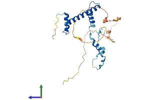 Protein Structure (PS) image for TAF9B RNA Polymerase II, TATA Box Binding Protein (TBP)-Associated Factor, 31kDa (TAF9B) (AA 1-249) protein (His tag) (ABIN7557972)