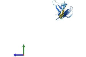 AlphaFold protein structure predicition of Human Recombinant PHLDA2 Protein, UniprotID Q53GA4