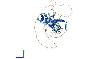 Protein Structure (PS) image for ArfGAP with SH3 Domain, Ankyrin Repeat and PH Domain 3 (ASAP3) (AA 1-904) protein (His tag) (ABIN7557559)