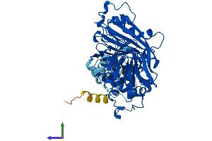 Protein Structure (PS) image for GDP Dissociation Inhibitor 1 (GDI1) (AA 1-447) protein (His tag) (ABIN7547870)